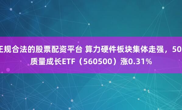 正规合法的股票配资平台 算力硬件板块集体走强，500质量成长ETF（560500）涨0.31%