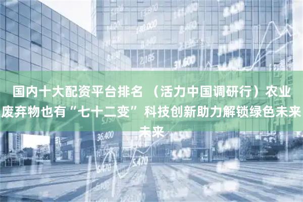 国内十大配资平台排名 （活力中国调研行）农业废弃物也有“七十二变” 科技创新助力解锁绿色未来
